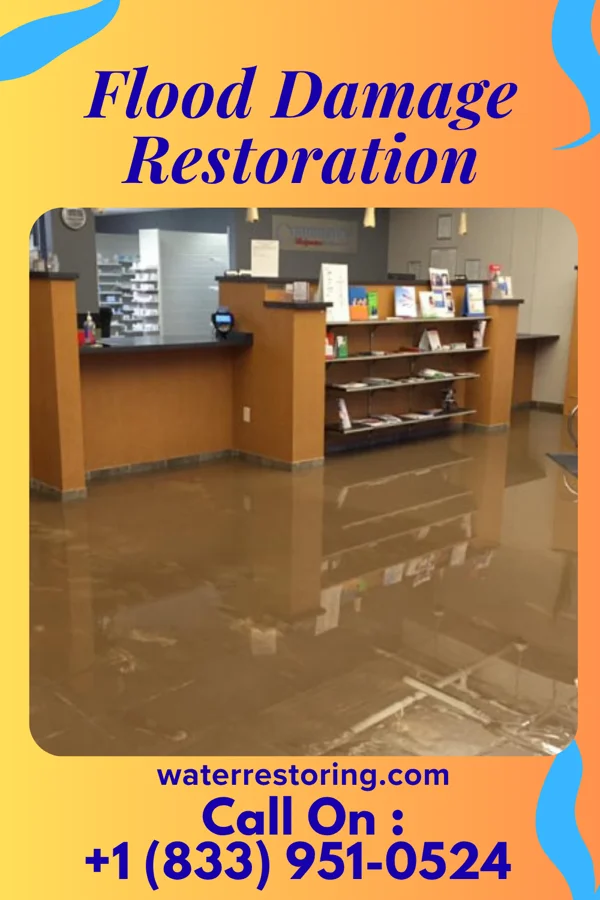Flood Damage Restoration in Pollocksville, NC