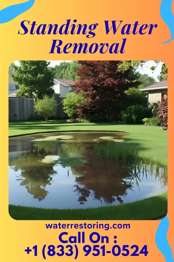 Standing Water Removal in Pollocksville, NC